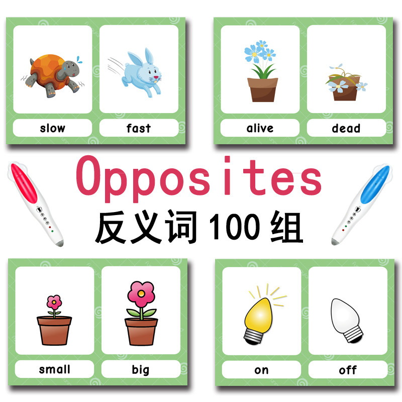 The 100 Groups Opposites Flash - Kids Toys Variety review and price