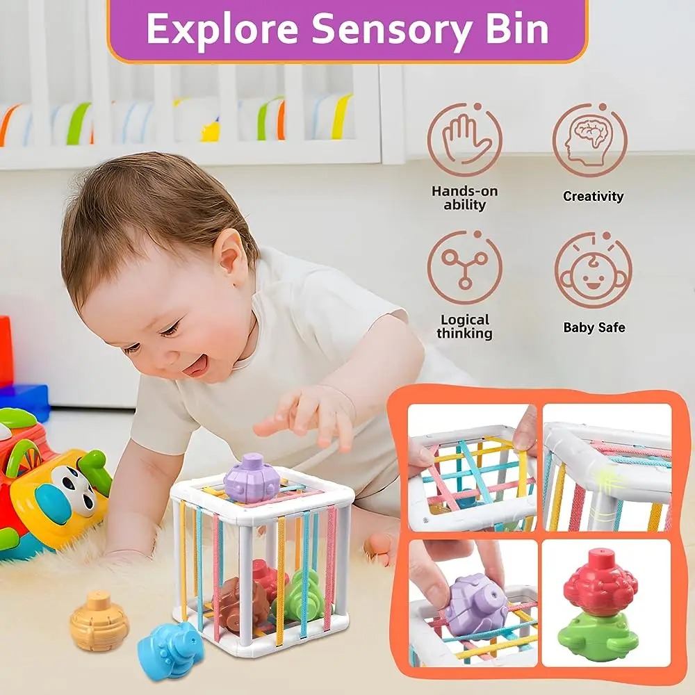 Rainbow Colorful Montessori Sh - Kids Toys Variety review and price