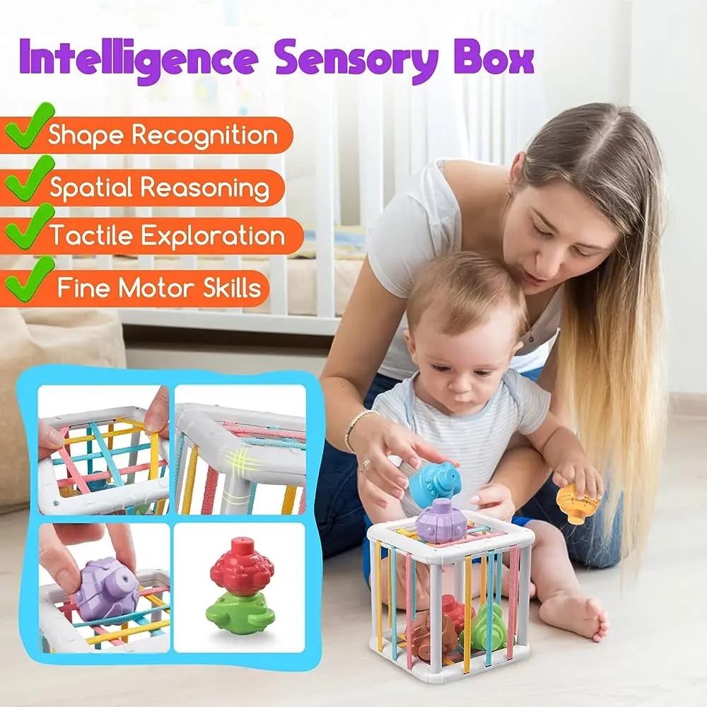 Rainbow Colorful Montessori Sh - Kids Toys Variety review and price