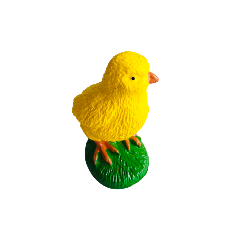 Life Cycle Animals Cards and M - Kids Toys Cycle review and price