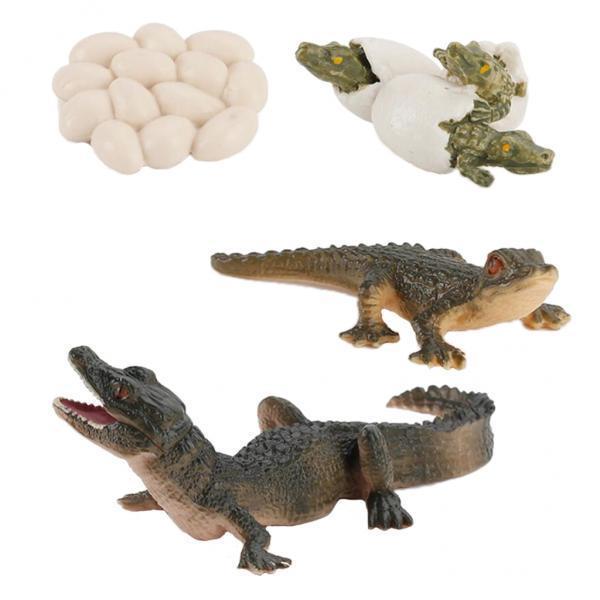 Nature Life Cycle Animal Growt - Kids Toys Cycle review and price
