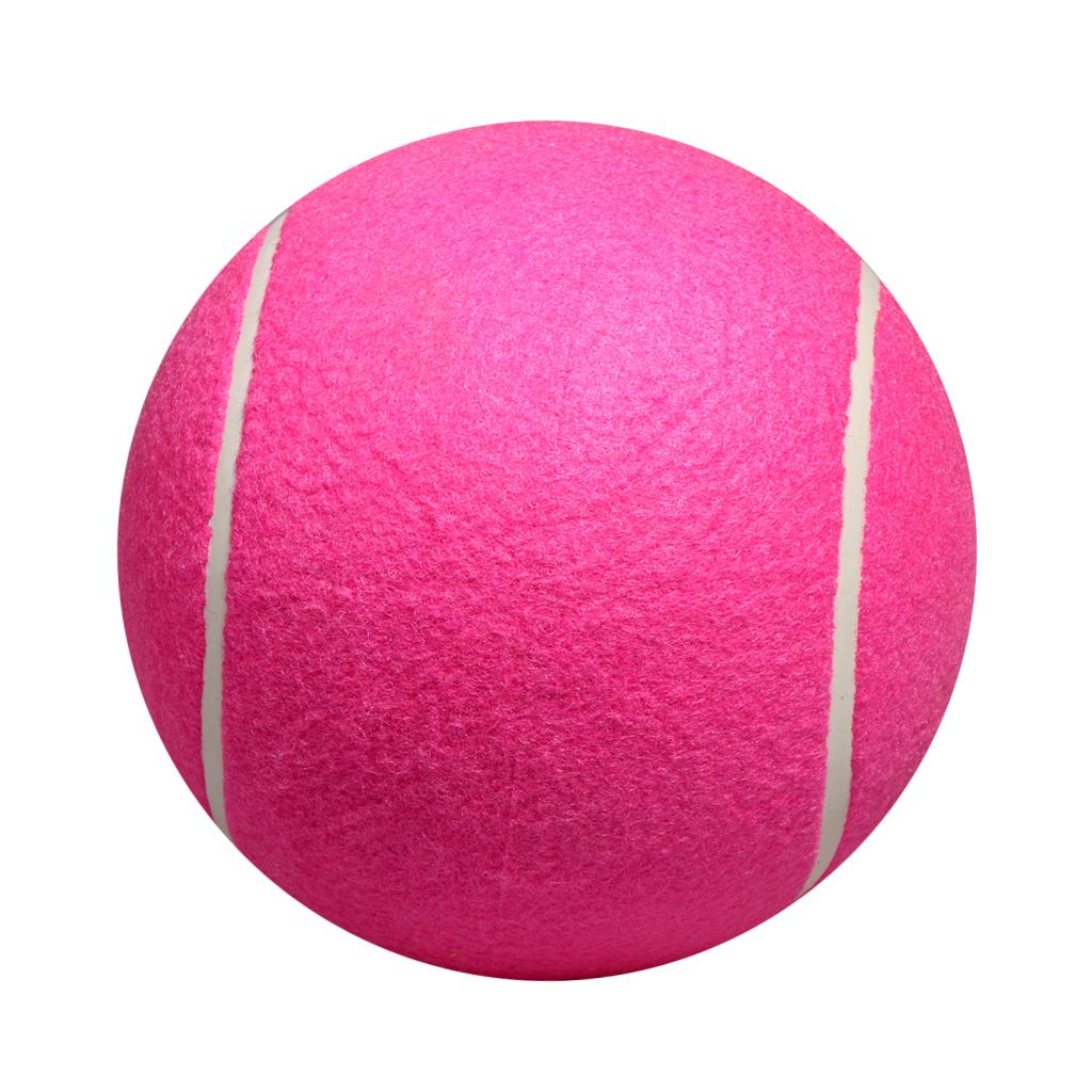 Dog Tennis Ball Toy Inflatable - Kids Toys Exhibition review and price